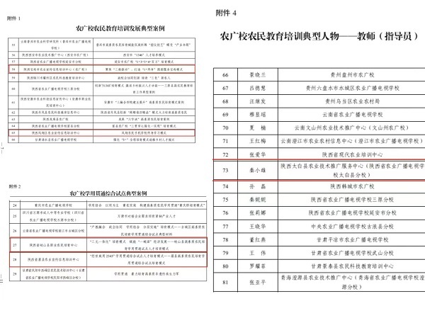 f13284fea1073fd49398a12a9fa9e2b2.jpg