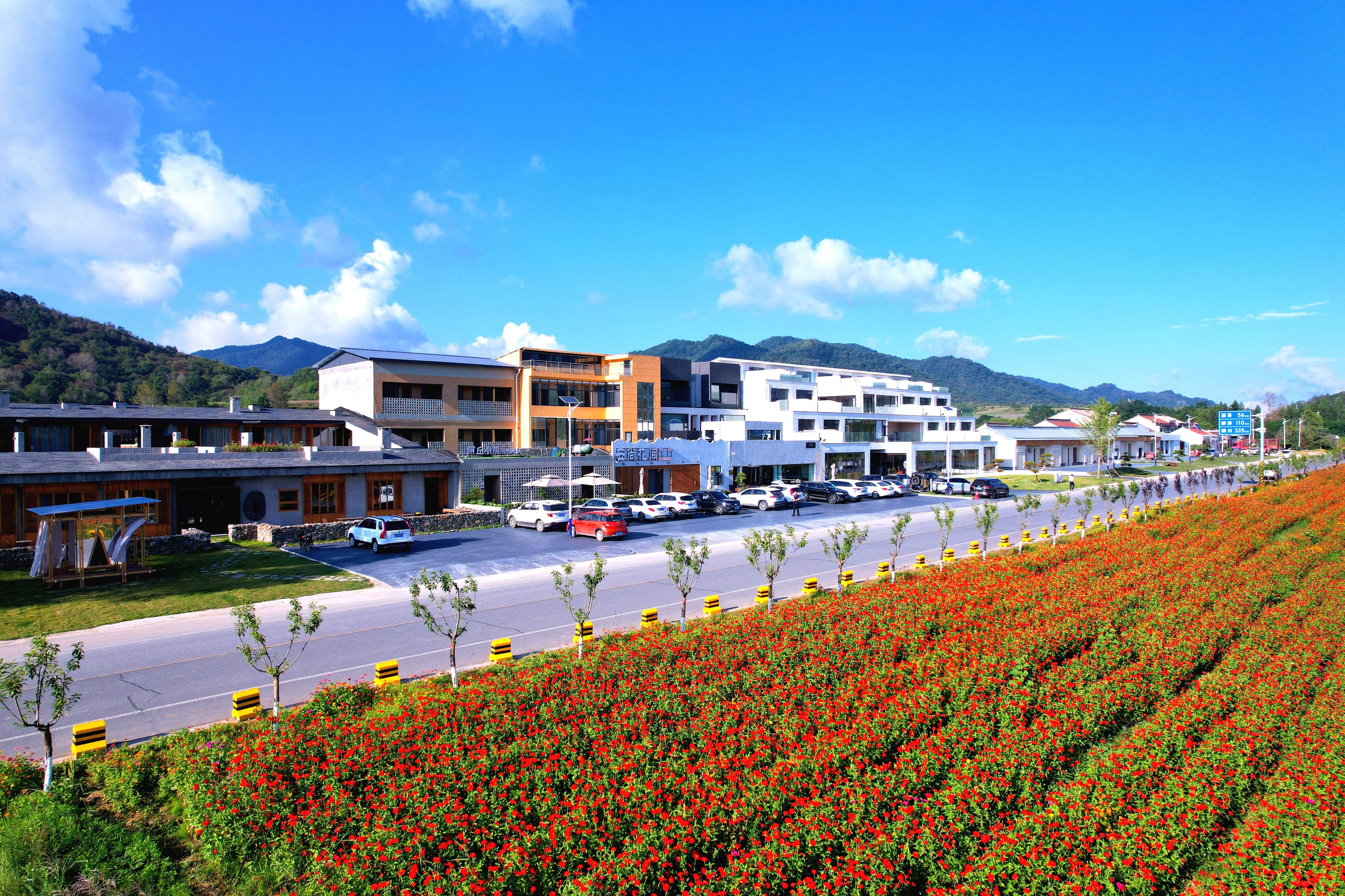 8.塘口村民宿群.jpg